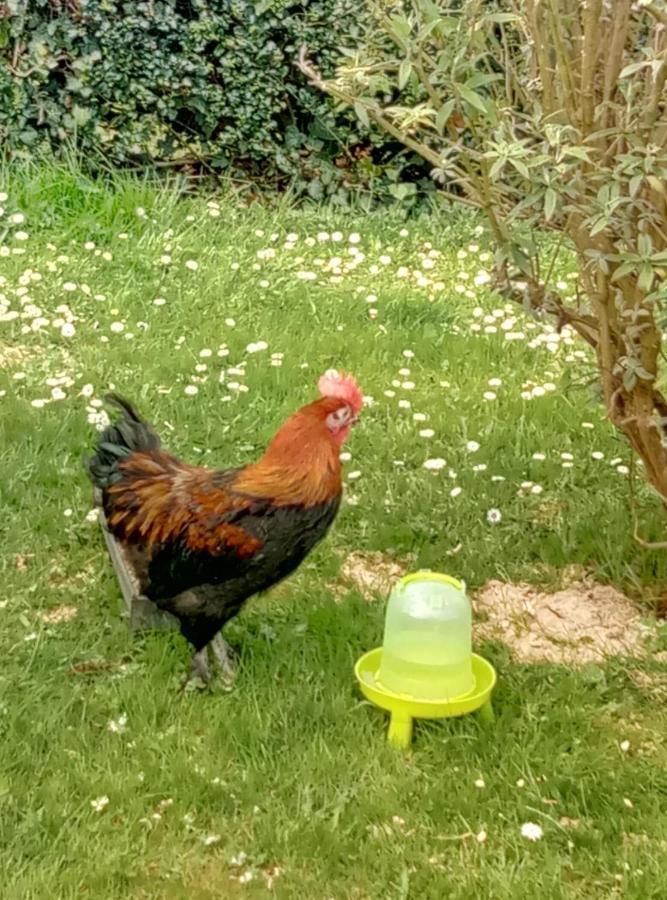 La Pommeraie 76 Saint-Ouen-sous-Bailly Luaran gambar